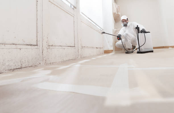 24/7 Emergency Mold Removal experts in Jobstown, NJ